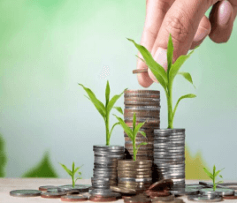 Personal loans
